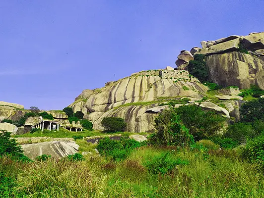 Nijagal Betta Image