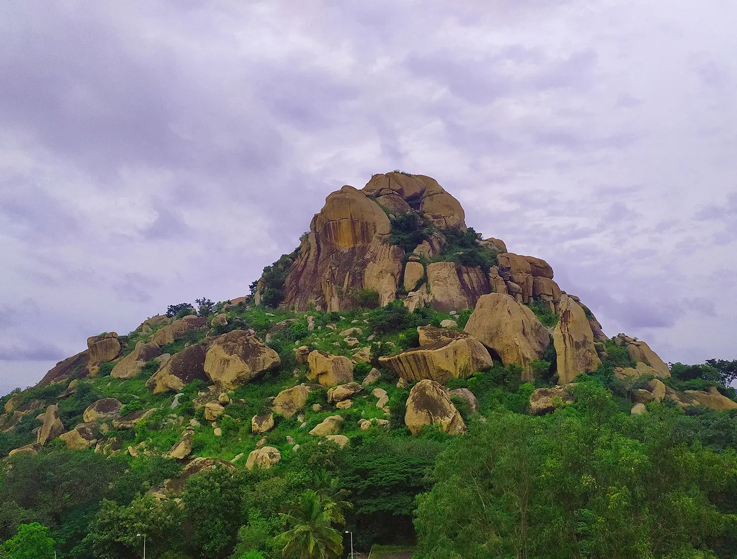 Open kuntibetta high quality image